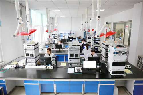 喜迎二十大 奮進新征程 壽光打造全產業鏈，以新材料技術研發勾勒高質量發展新版圖